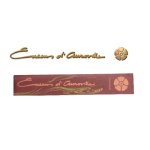 Cinnamon Encens d´Auroville 10gr (10x10gr)