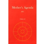 Mother’s Agenda deel 12, Satprem
