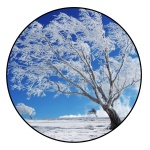 winter_tree_namaste