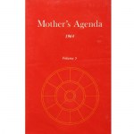 Mother’s Agenda deel 5, Satprem